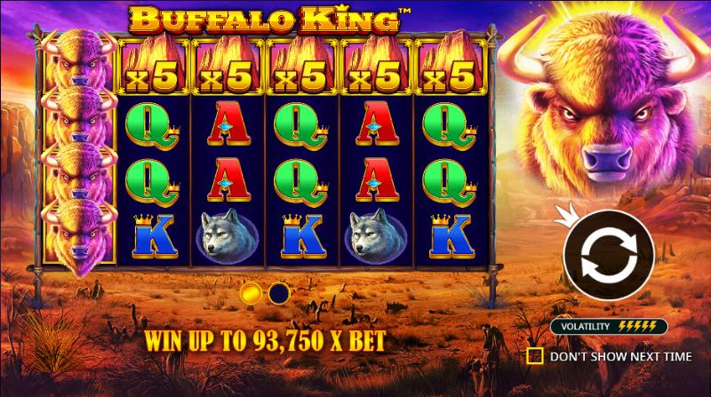buffalo-king-2