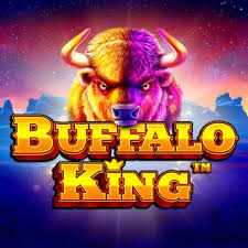 buffalo-king